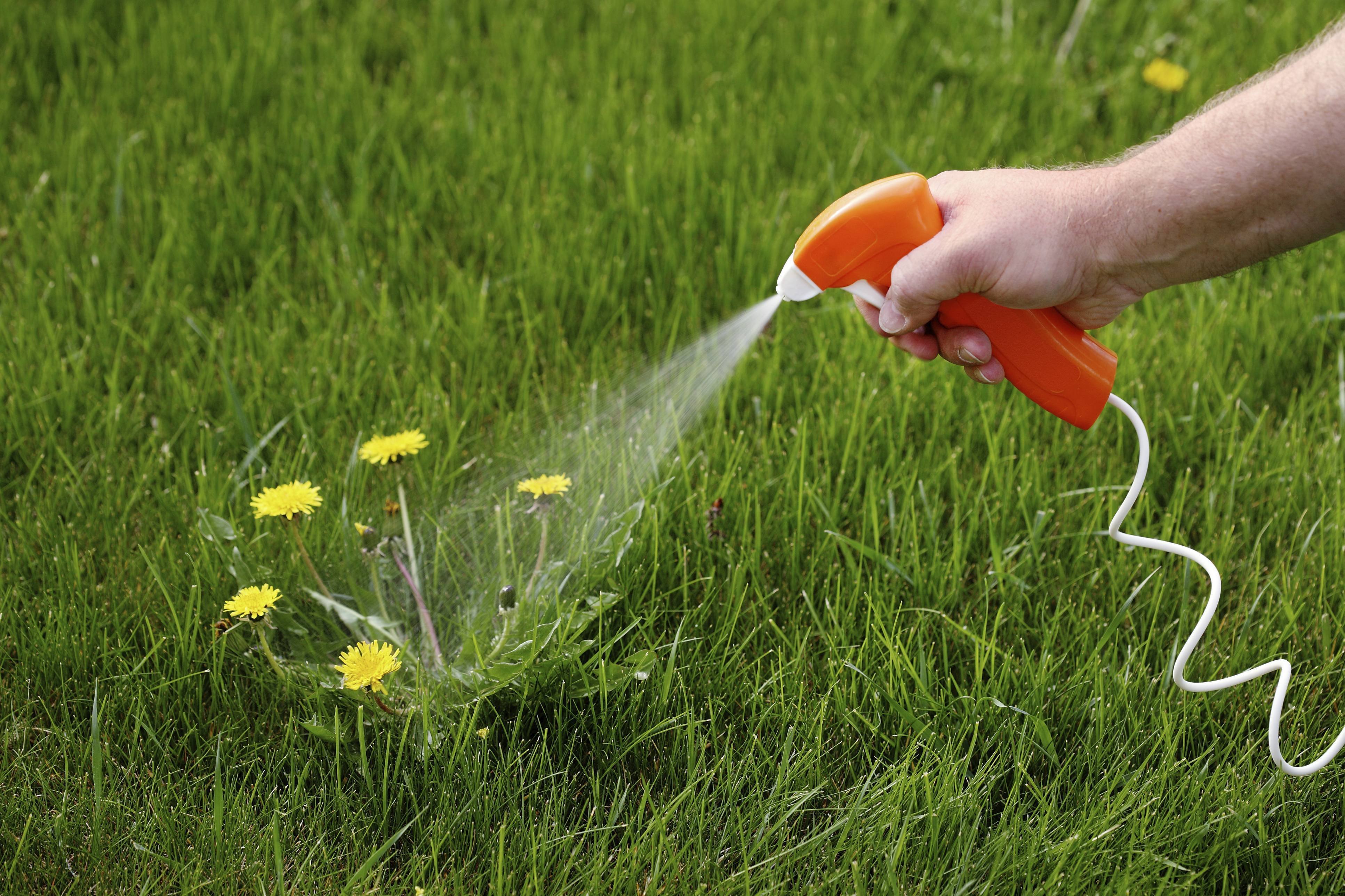 Environmentally Friendly Methods of Controlling Weeds and Varieties