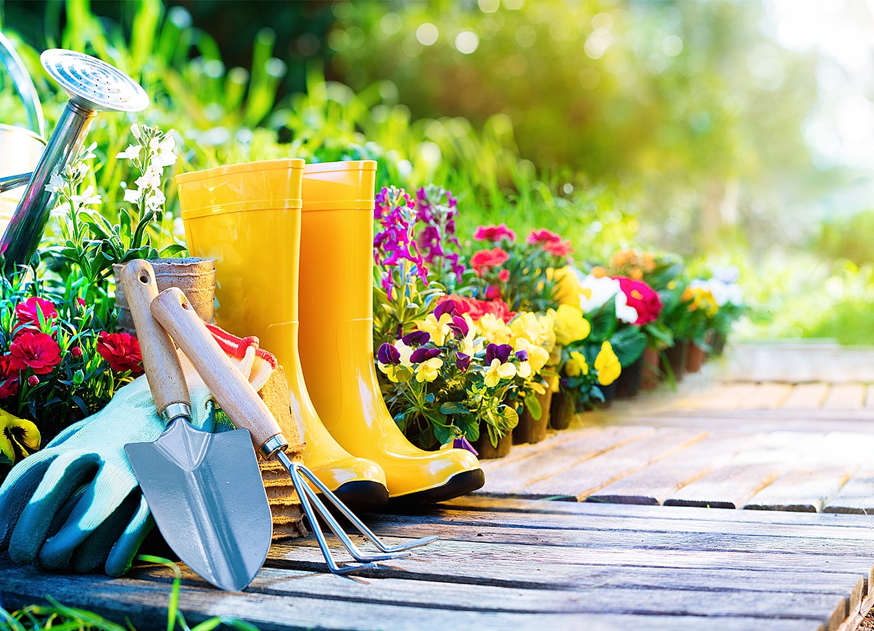Garden Trends: Current Ideas and New Products in the World of Gardening